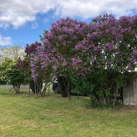 Holiday home Biene Wartin