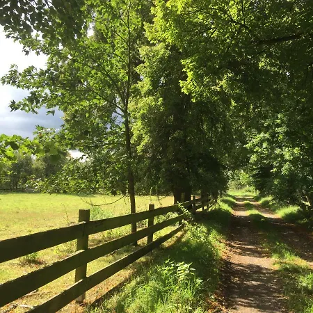 度假居 Biene Wartin